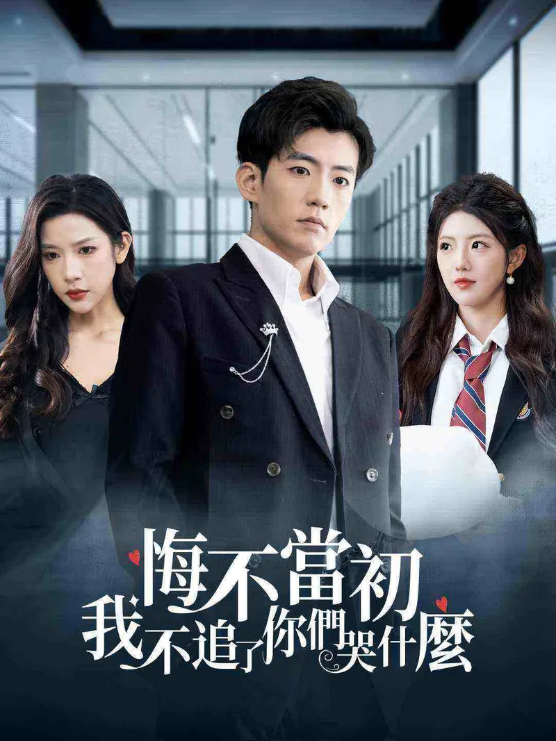 《悔不當初：我不追了你們哭什麼》封面