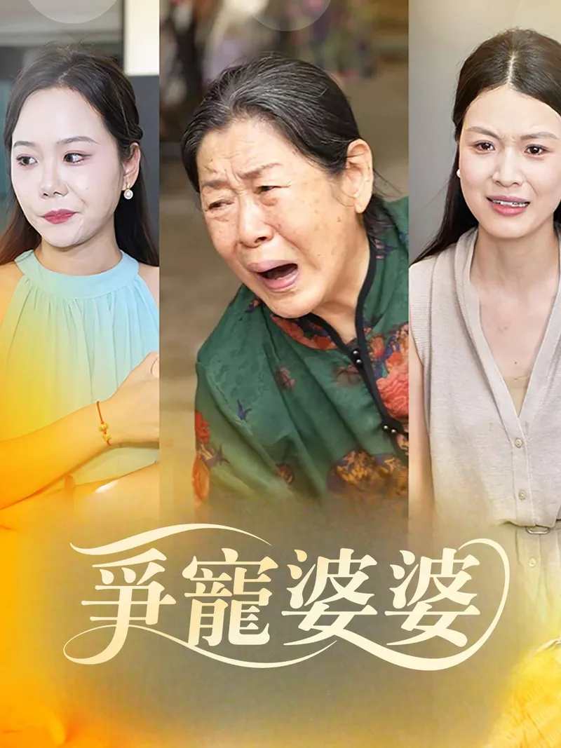 《爭寵婆婆》封面