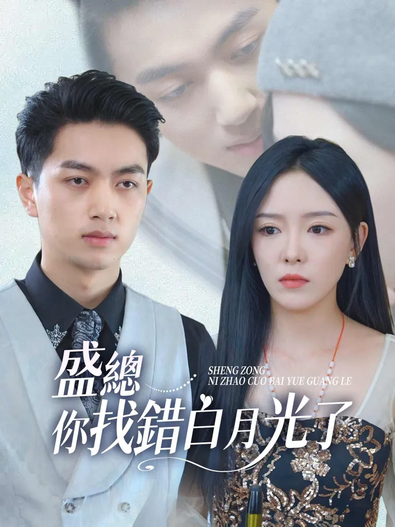 《盛總你找錯白月光了》封面
