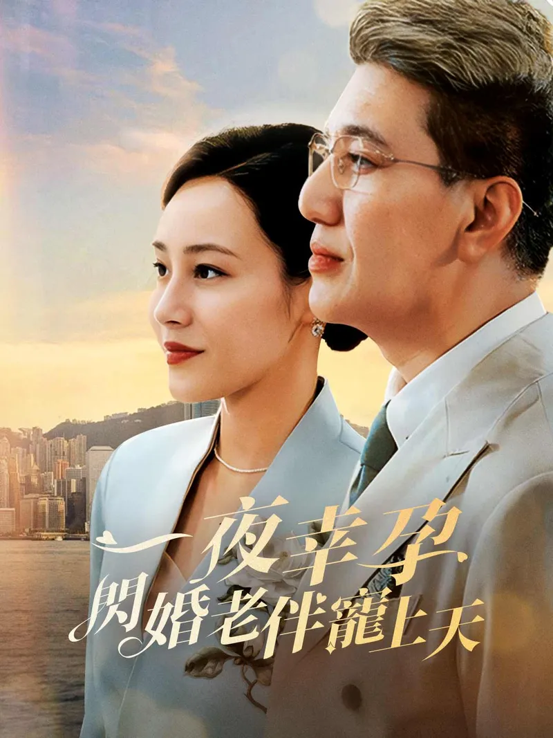 《一夜幸孕，閃婚老伴寵上天》封面