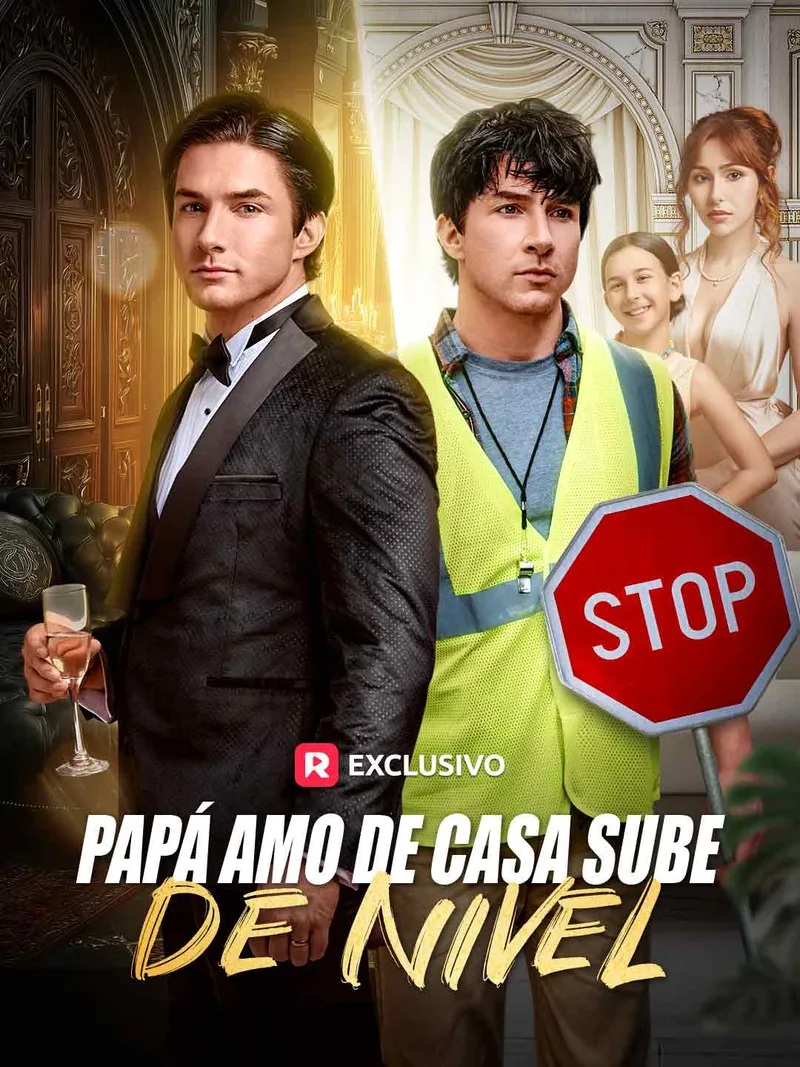 Portada de Papá amo de casa sube de nivel