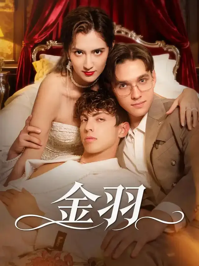 《金羽》封面