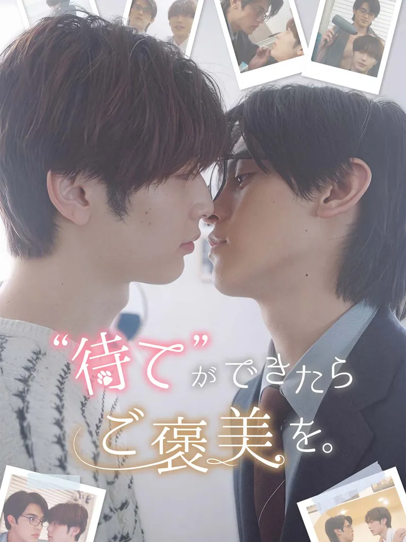「“待て”が出来たらご褒美を。」のカバー画像