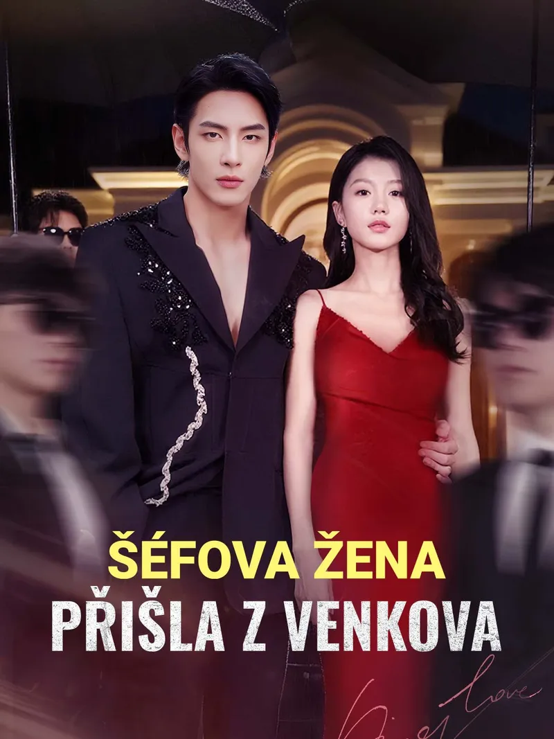 Obálka Šéfova žena přišla z venkova