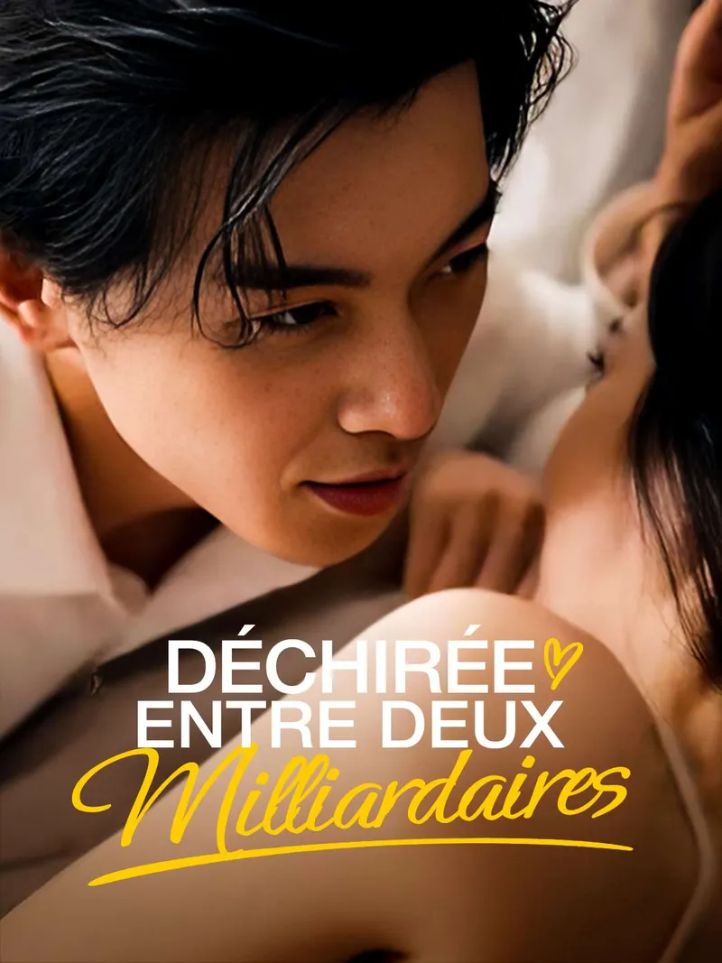 Couverture de Déchirée Entre Deux Milliardaires