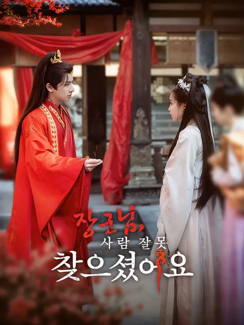 장군님, 사람 잘못 찾으셨어요 표지