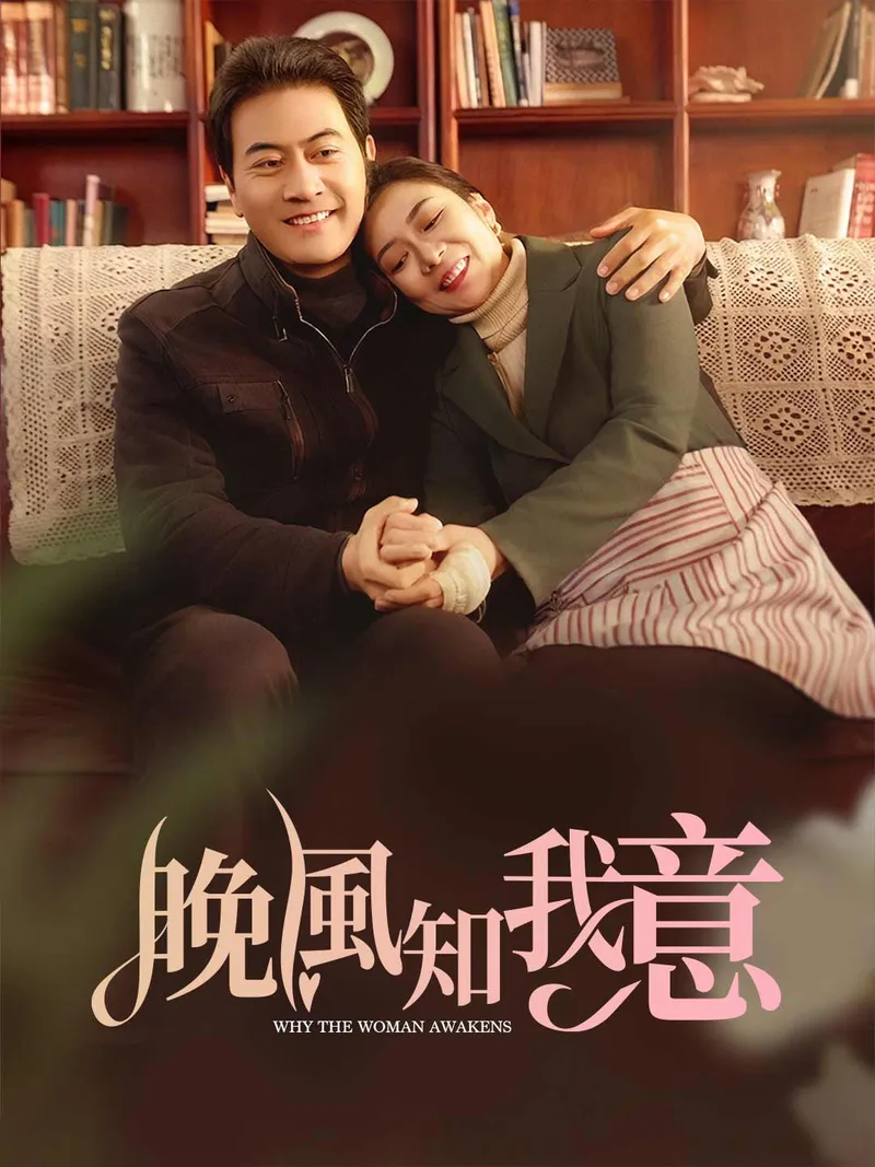 《晚風知我意》封面