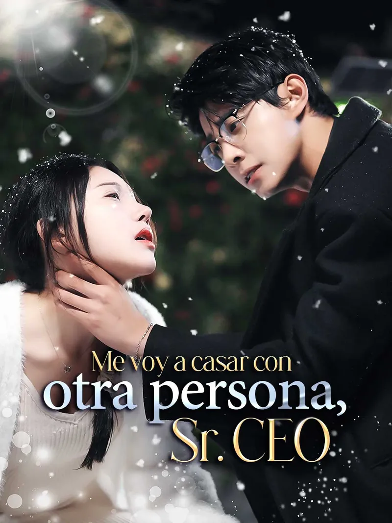Portada de Me voy a casar con otra persona, Sr. CEO