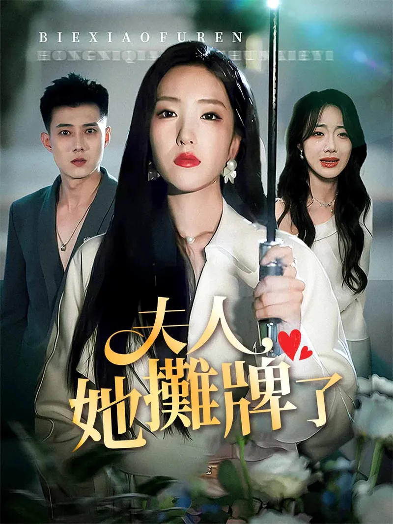 《夫人她攤牌了》封面