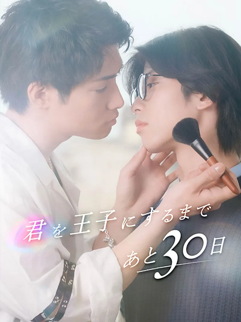 「君を王子にするまであと30日」のカバー画像