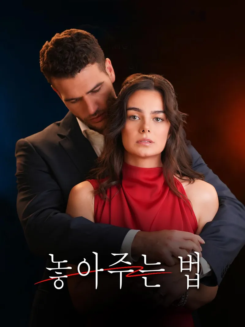 놓아주는 법 표지
