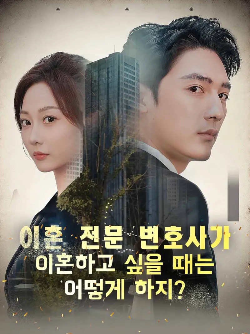 이혼 전문 변호사가 이혼하고 싶을 때는 어떻게 하지? 표지