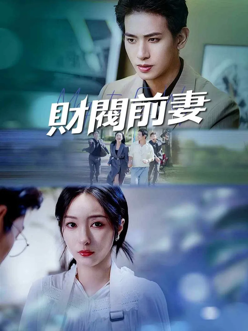 《財閥前妻》封面