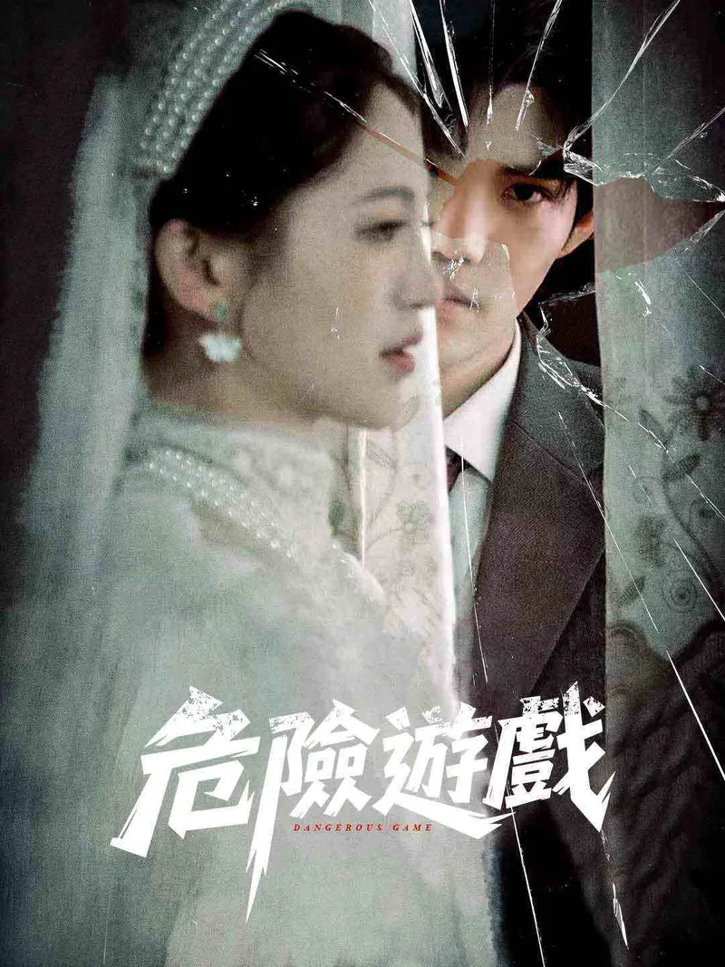 《危險遊戲》封面