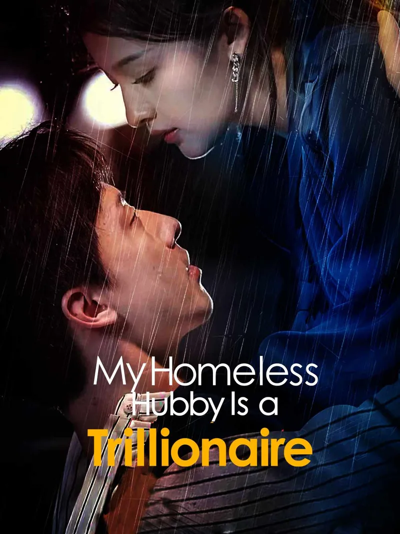 My Homeless Hubby Is a Trillionaire cover