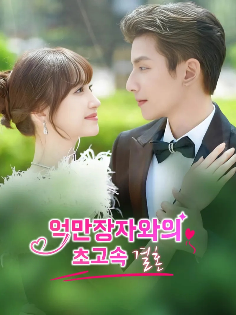 억만장자와의 초고속 결혼 표지