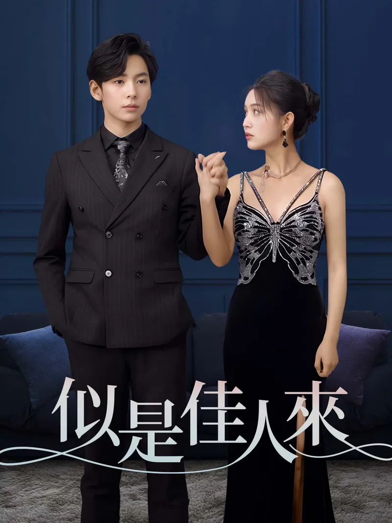 《似是佳人來》封面