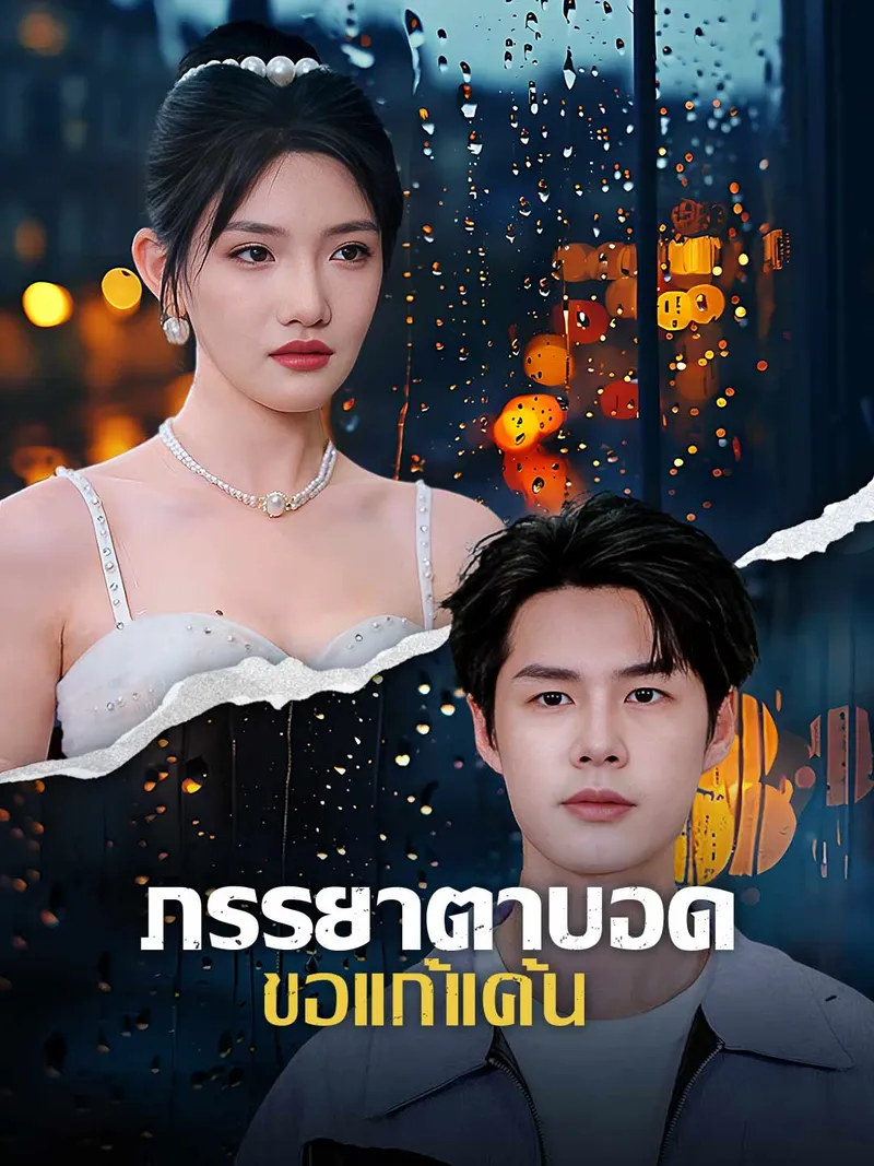 หน้าปกภรรยาตาบอดขอแก้แค้น