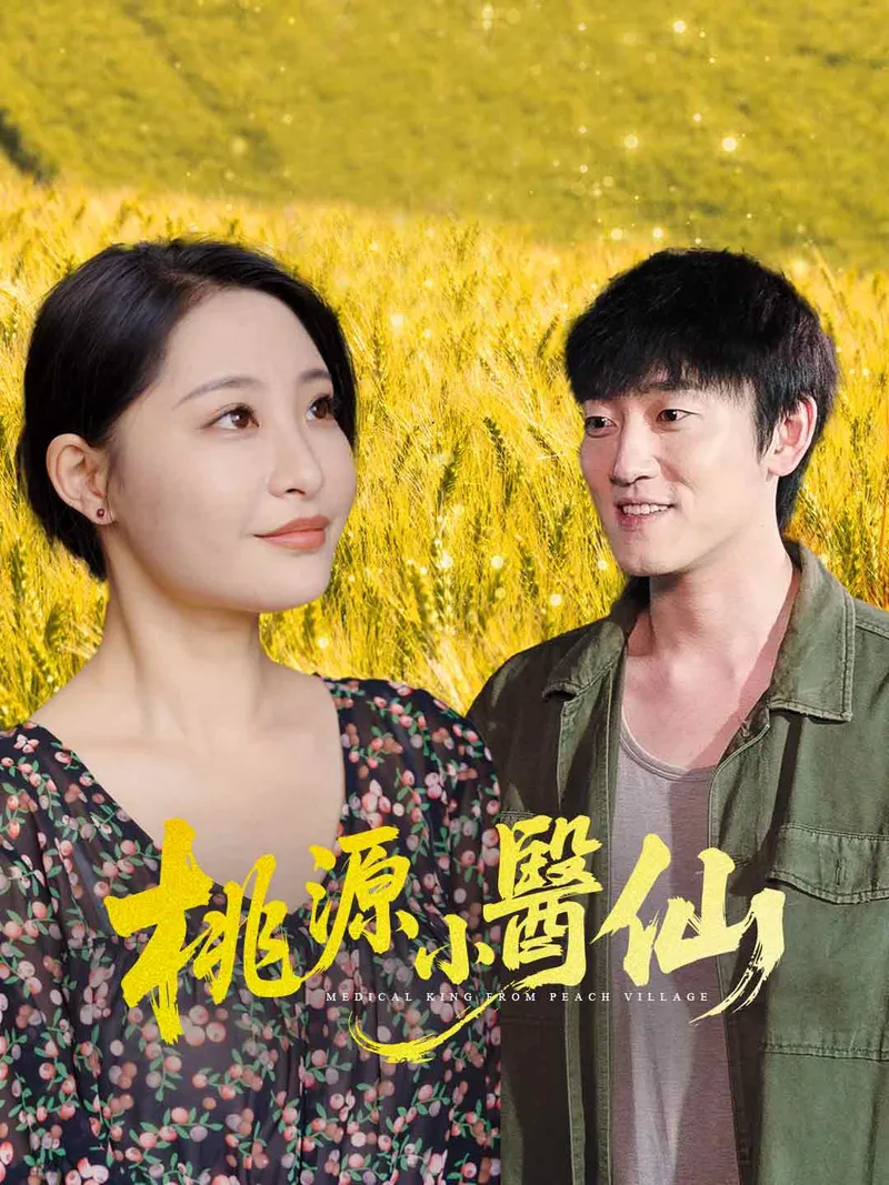 《桃源小醫仙》封面