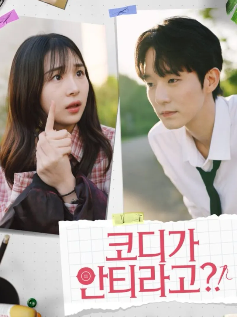 코디가 안티라고 표지