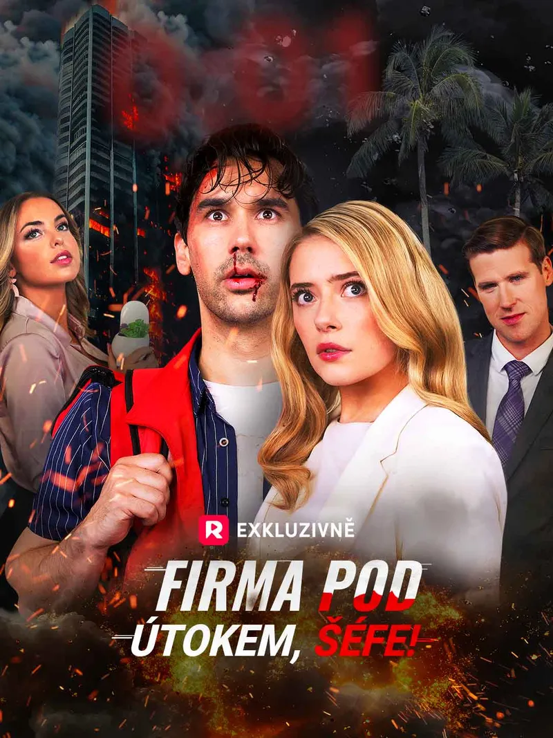 Obálka Firma pod útokem, šéfe!