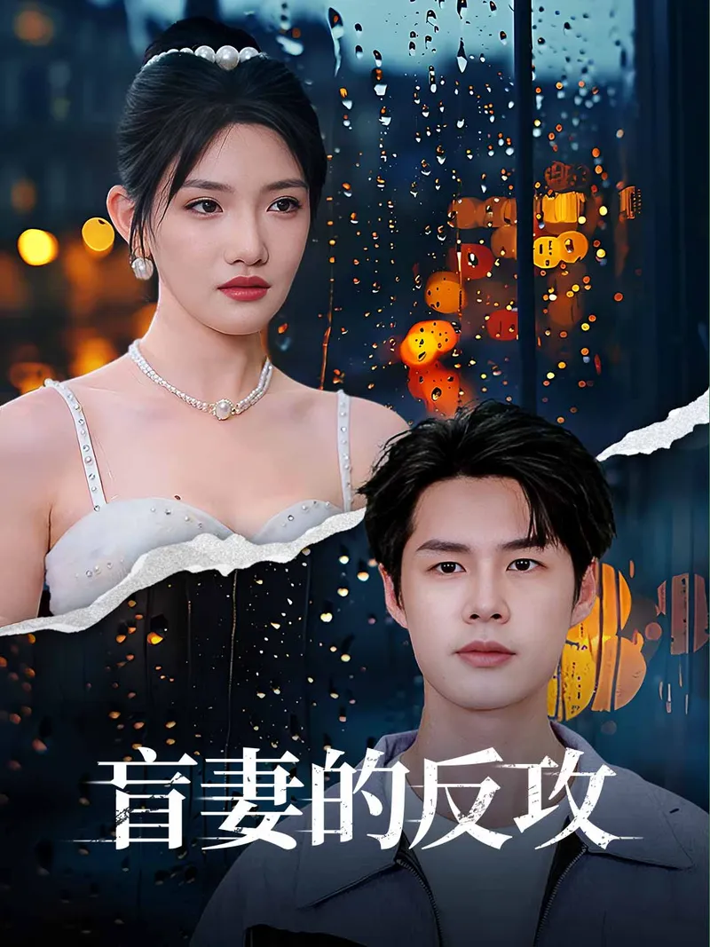 《盲妻的反攻》封面
