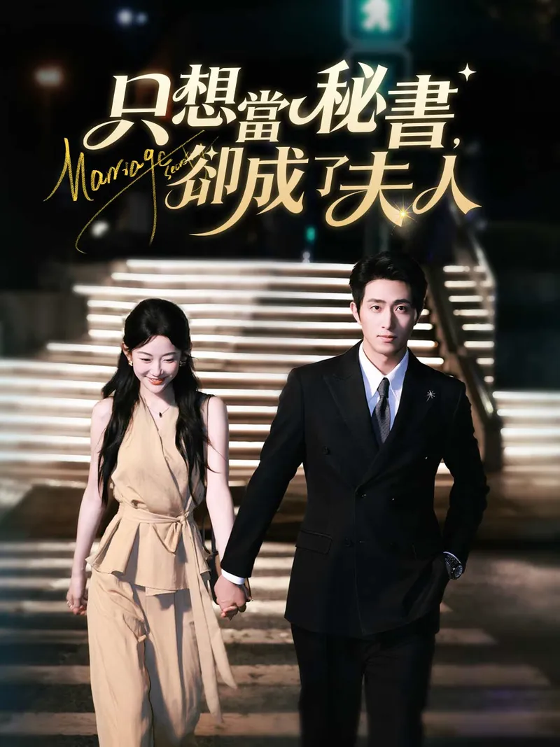 《只想當秘書，卻成了夫人》封面