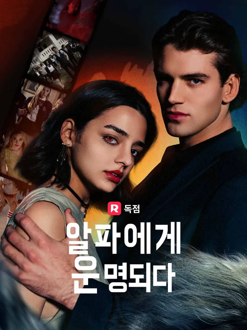알파에게 운명되다 표지