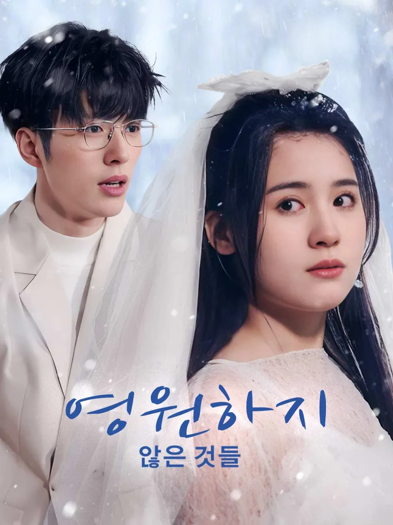 영원하지 않은 것들 표지