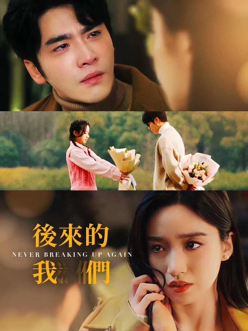 《後來的我們》封面