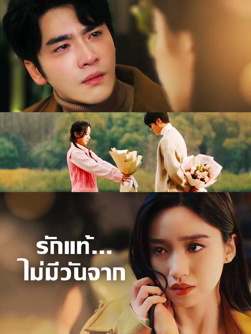 หน้าปกรักแท้...ไม่มีวันจาก