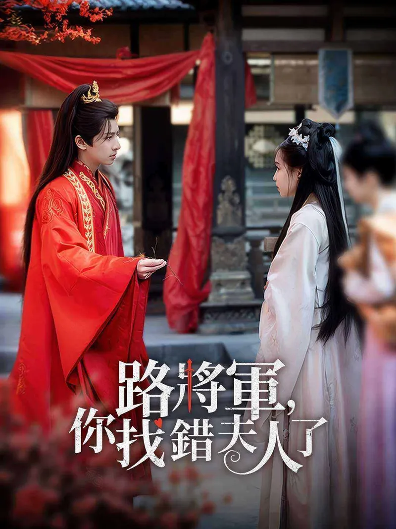 《路將軍，你找錯夫人了》封面