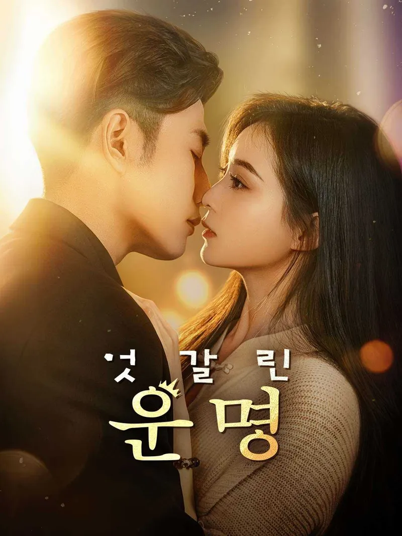 엇갈린 운명 표지
