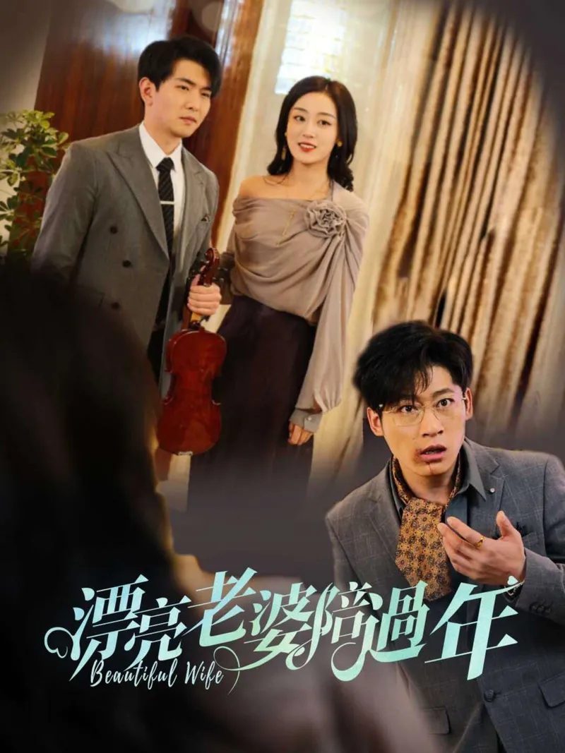 《漂亮老婆陪過年》封面