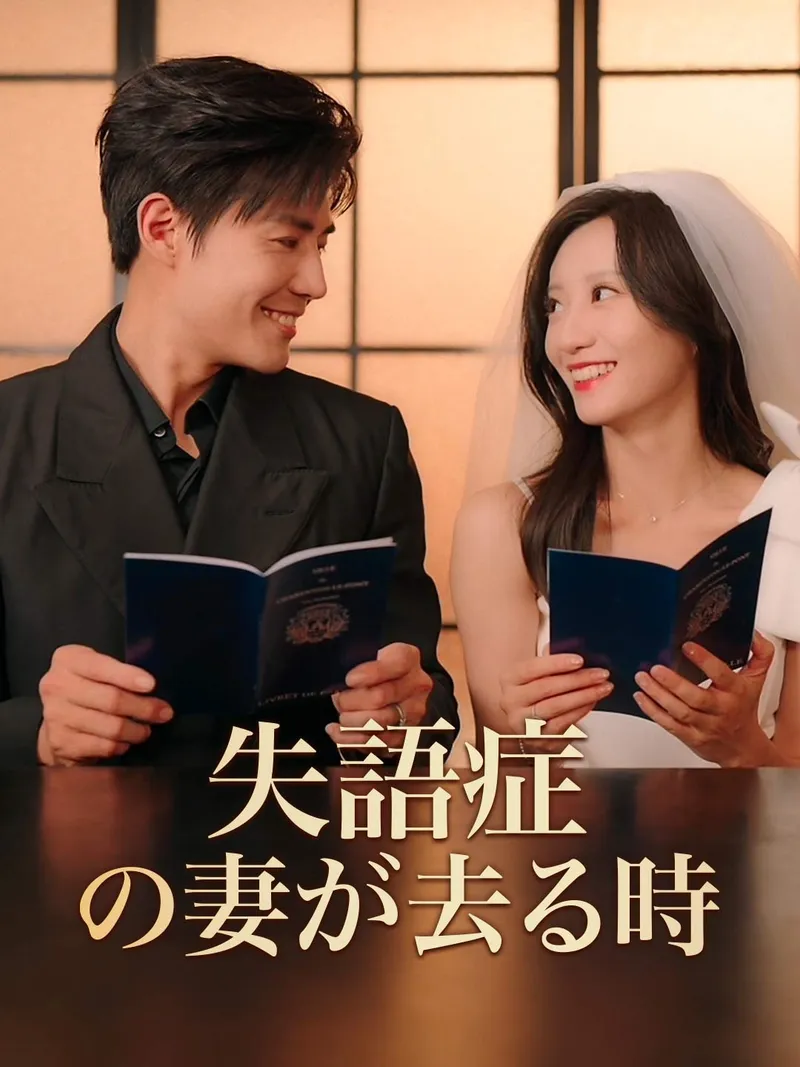 「失語症の妻が去る時」のカバー画像