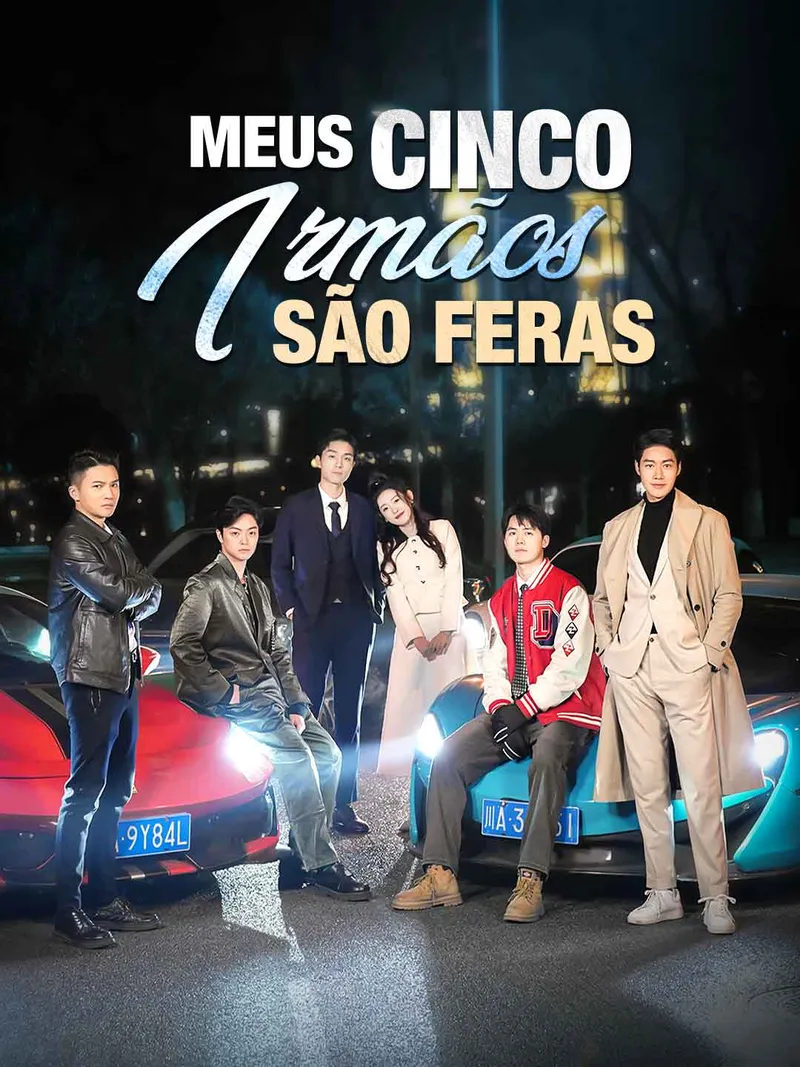 Capa de Meus Cinco Irmãos São Feras