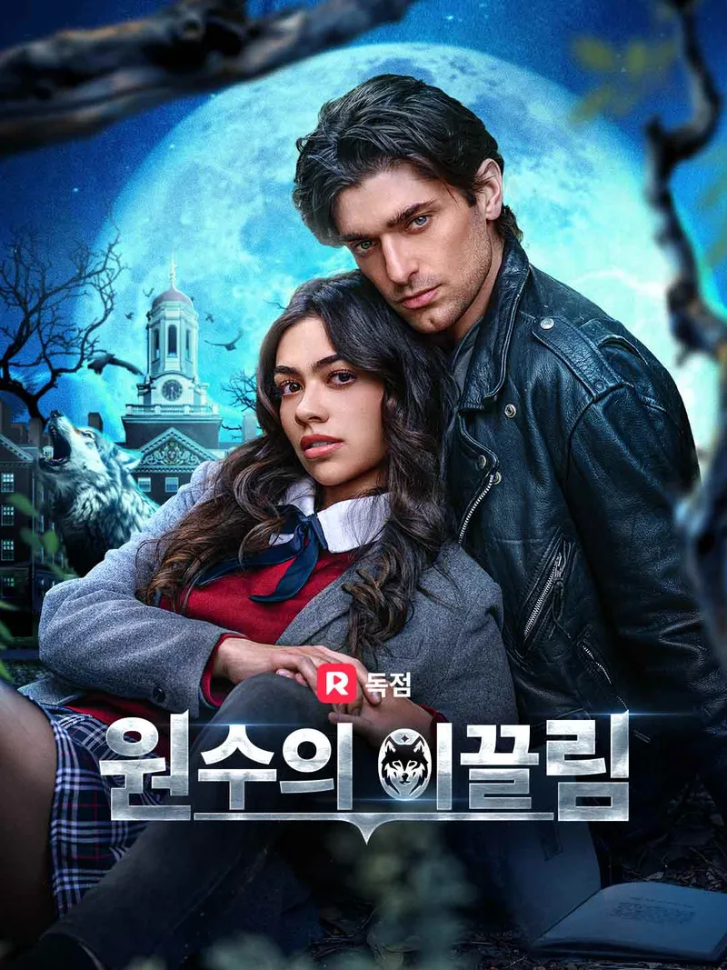 원수의 이끌림 표지
