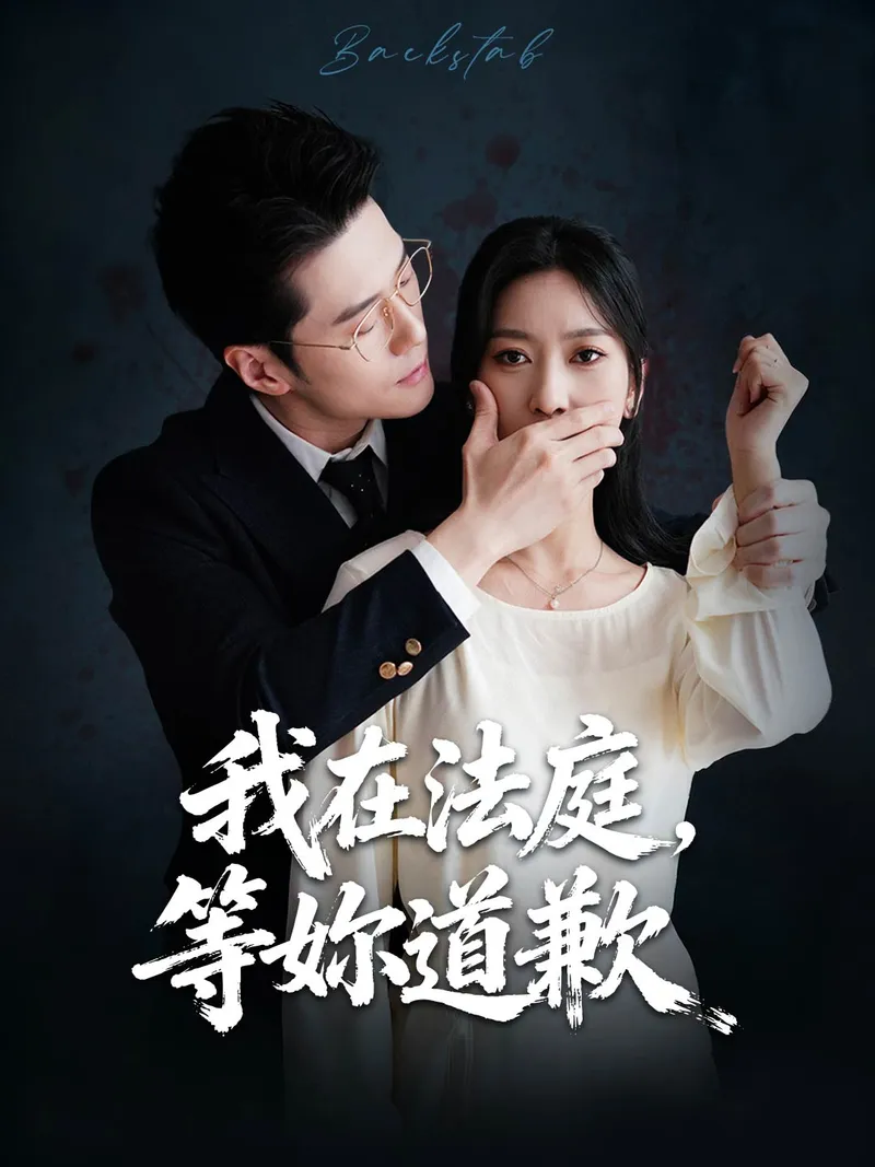 《我在法庭，等妳道歉》封面