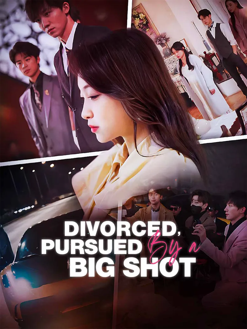 Divorced, Pursued by a Big Shot cover