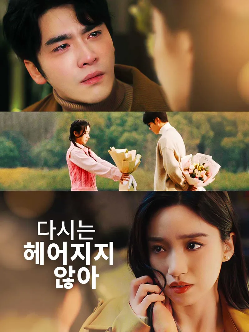 다시는 헤어지지 않아 표지