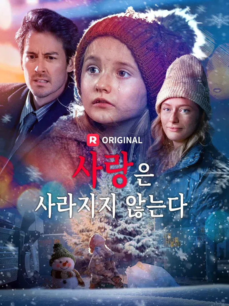 사랑은 사라지지 않는다 표지