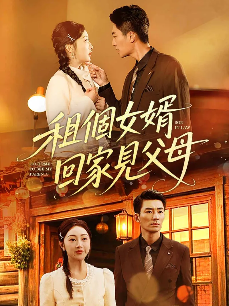 《租個女婿回家見父母》封面