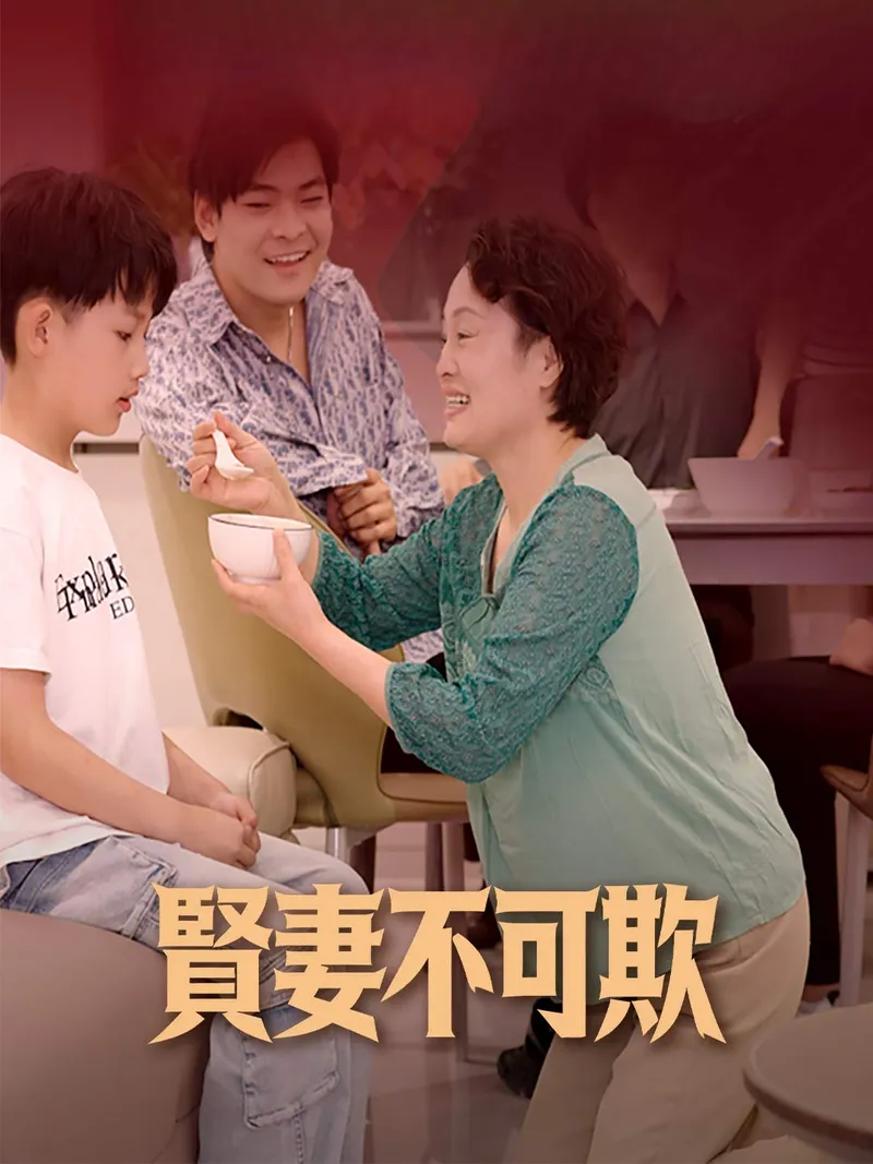 《賢妻不可欺》封面