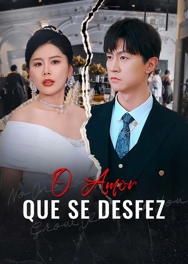 Capa de O Amor Que Se Desfez