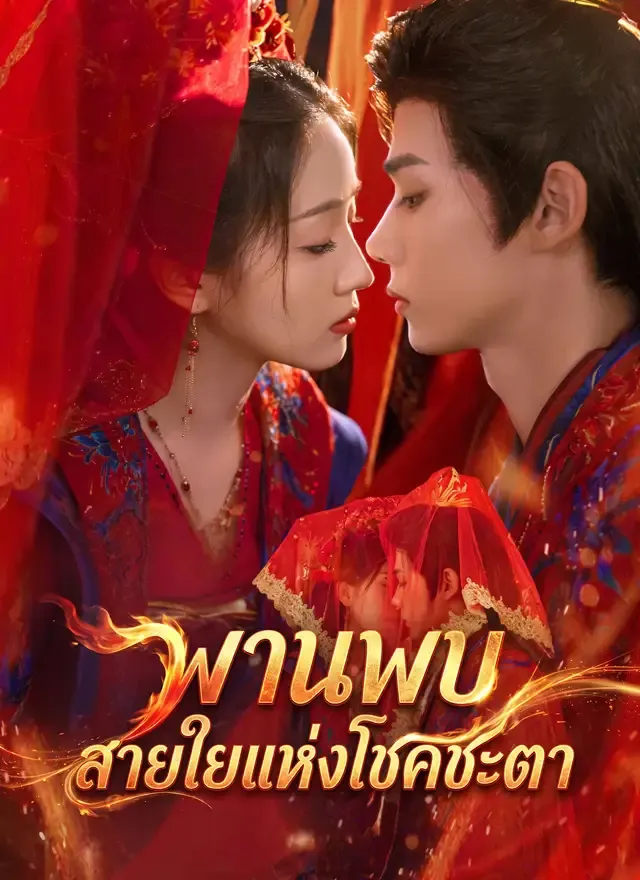 หน้าปกพานพบสายใยแห่งโชคชะตา