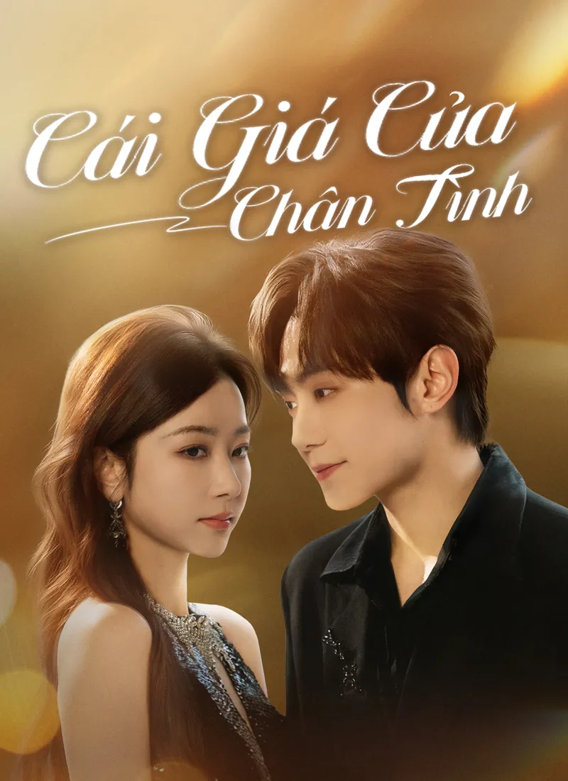 Ảnh bìa Cái Giá Của Chân Tình