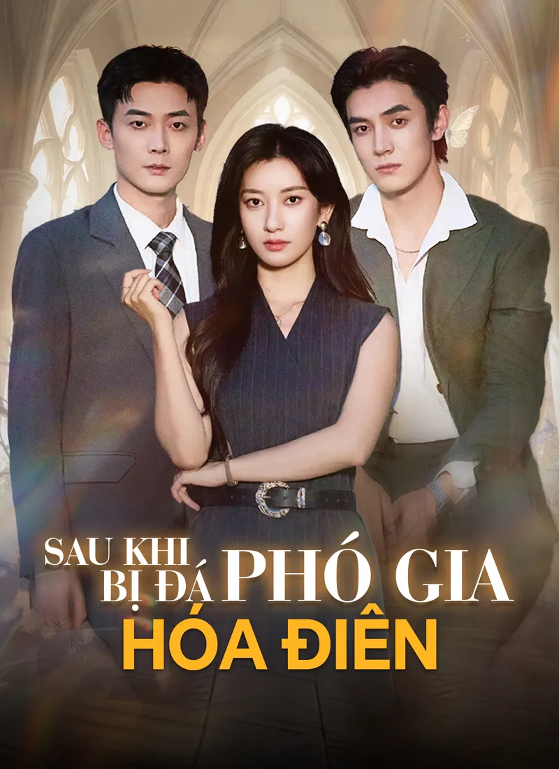 Ảnh bìa Sau Khi Bị Đá, Phó Gia Hóa Điên