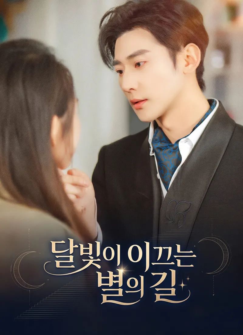 달빛이 이끄는 별의 길 표지