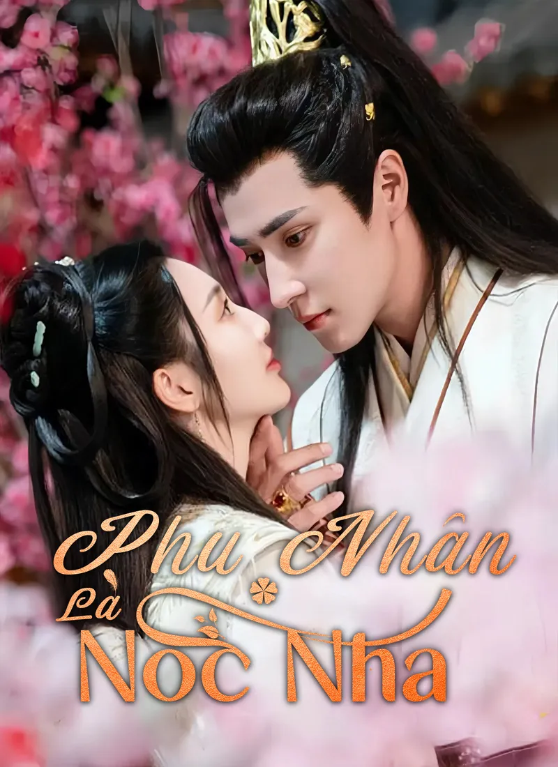 Ảnh bìa Phu Nhân Là Nóc Nhà