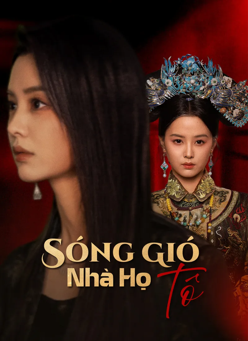 Ảnh bìa Sóng Gió Nhà Họ Tô
